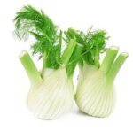 Fennel