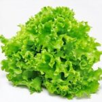 Washed Lalik lettuce