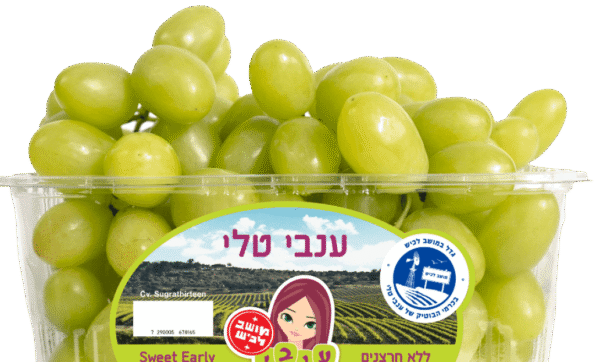 Green grapes - Image 2