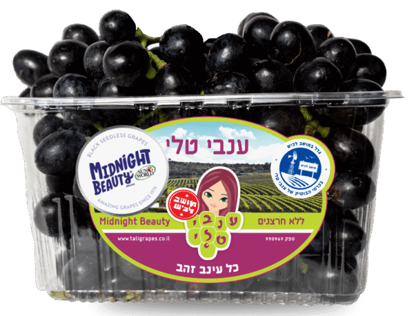 Seedless Black Grapes-  Box