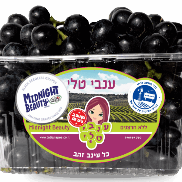 Seedless Black Grapes-  Box