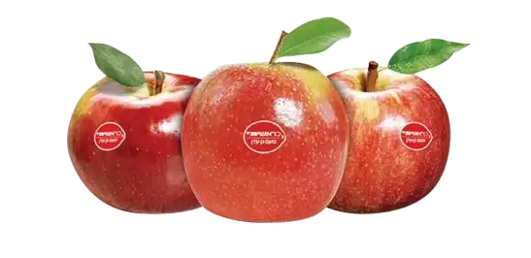Pink lady apple - Image 2